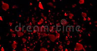红艳艳的花瓣在黑色背景下飞舞，爱情和情人节